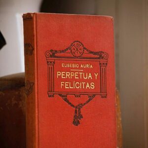 Perpetua y Felícitas. O los mártires de Cartago.