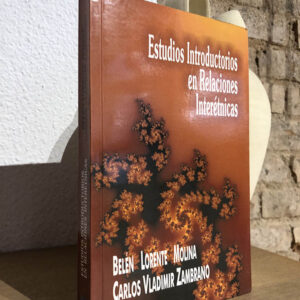 Estudios introductorios en relaciones interétnicas.