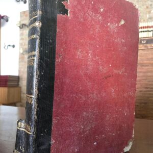 Nouveau Dictionnaire Espagnol - Français et... Avec la prononciation figurée dans les deux langues.