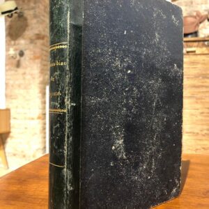 Últimos días de Sagunto o Ergasto y Belenna. Novela histórica.