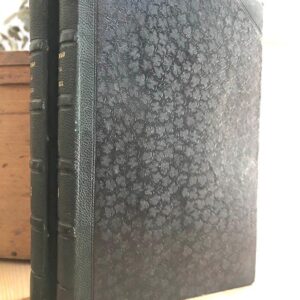 Víctimas y verdugos. Cuadros de la Revolución Francesa. 2 tomos. El amigo de la Familia. Novela - Almanaque - Revista.