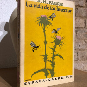 La vida de los insectos.