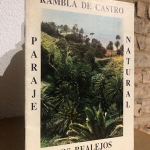 RAMBLA DE CASTRO. Paraje natural. Los Realejos.