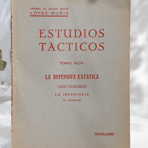 Estudios Tácticos, Tomo XLIV. Caso concreto: La infantería, 2ª parte.