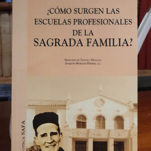 ¿Cómo surgen las escuelas profesionales de la Sagrada familia?