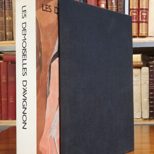 Les Demoiselles d'Avignon. Exposició en el Museo Picasso. Barcelona 11 Mayo - 14 Julio de 1988. EDICIÓN COMPLETA