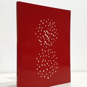 EVA LOOTZ. Museo de Arte Contemporáneo de Sevilla, mayo-junio 1986.